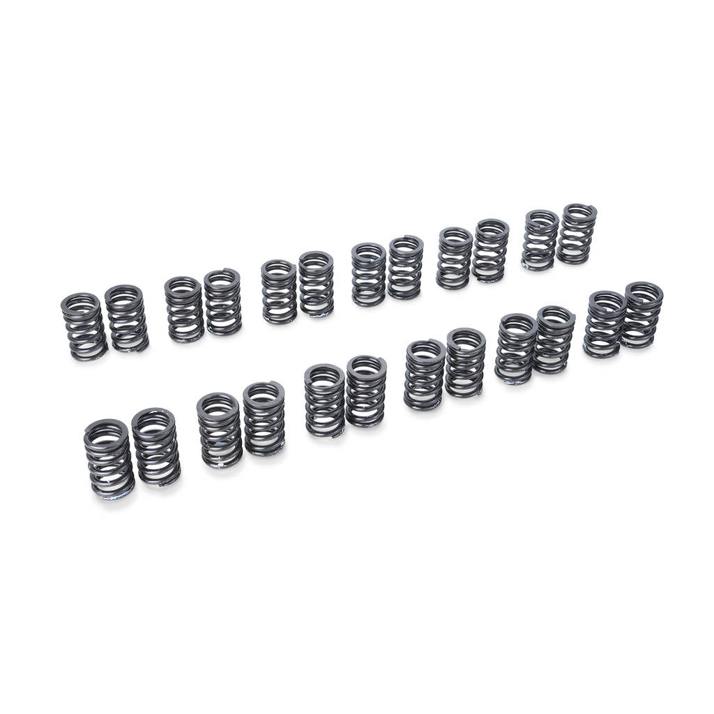 TOMEI TA304A-NS05A VALVE SPRING RB26DETT A-TYPE Photo-0