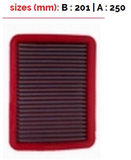 BMC FB209/04 AIR FILTER 201X250 Photo-0