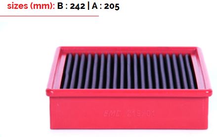 BMC FB219/01 AIR FILTER 242X205 Photo-0