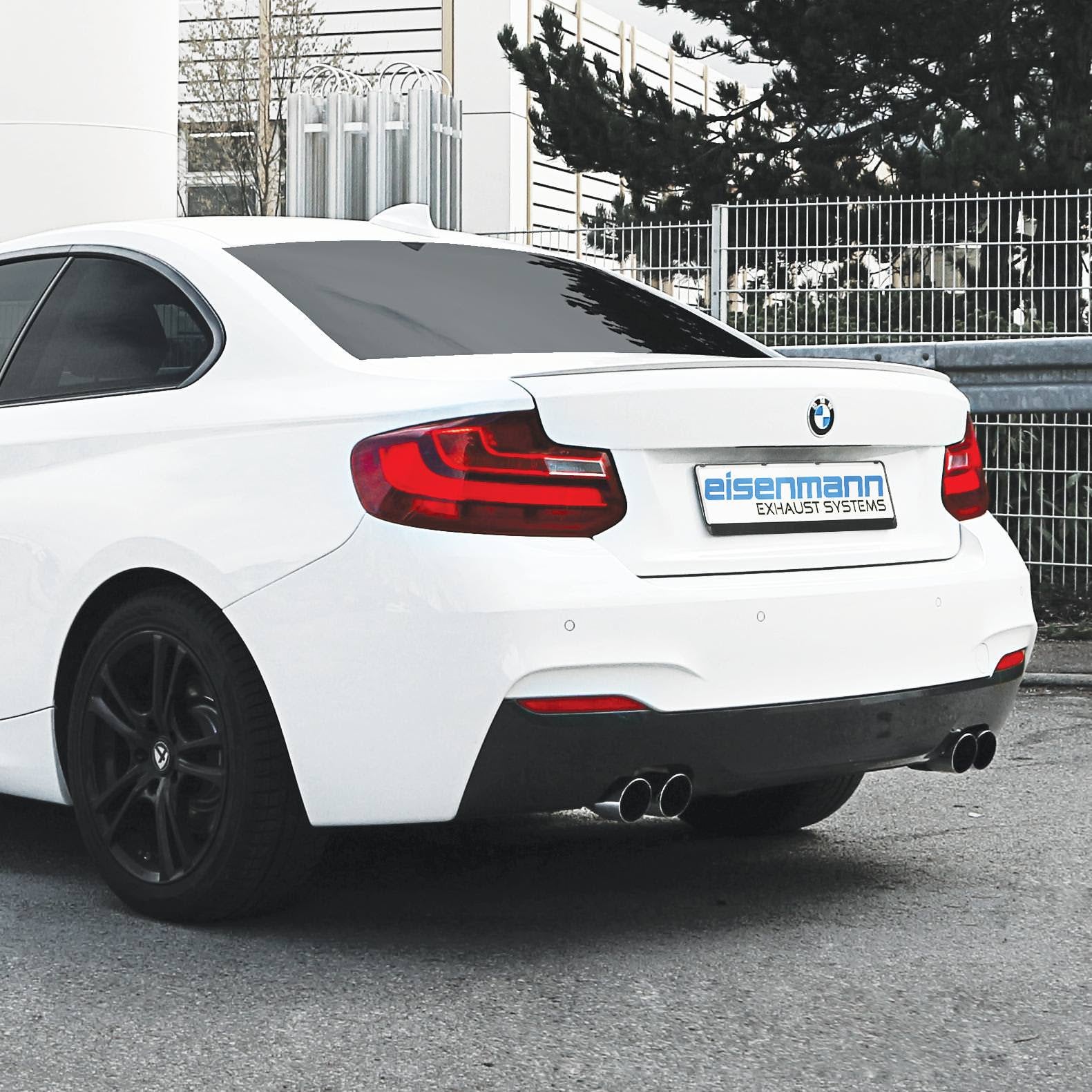 EISENMANN B5461.20902 Exhaust system ESD RACE 2 x 90mm BMW F23 230i Photo-0