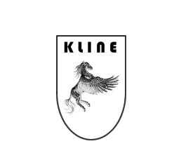 KLINE INNOVATION KL-AM-V8-MF-SS ASTON MARTIN V8 Vantage manifolds (SS) Photo-0