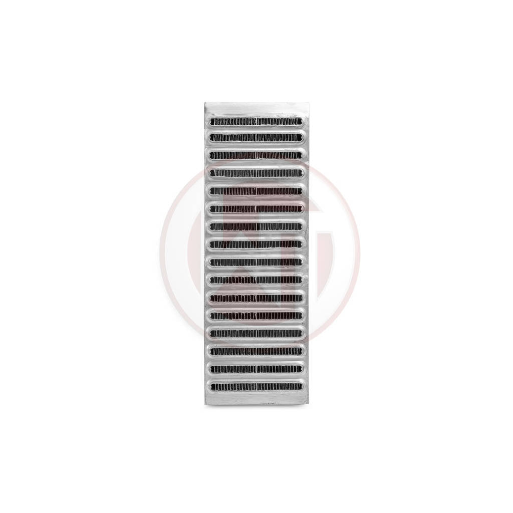 WAGNER TUNING 009001001-002 Rennsport Competition Intercooler Core 600x300x95 Photo-2