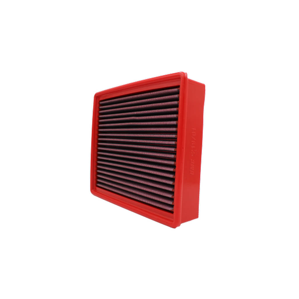 BMC FB219/01 AIR FILTER 242X205 Photo-0