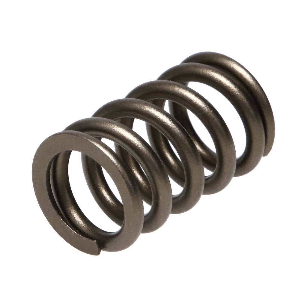 MANLEY 22155-24 Valve Spring for NISSAN Patrol TB48 Photo-0