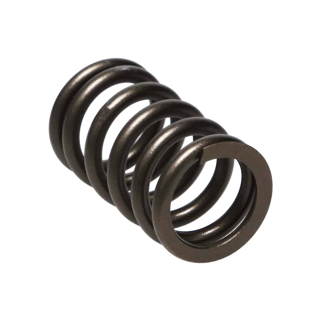 MANLEY 22165-16 Valve Spring for NISSAN SR20DE/SR20DET Photo-1