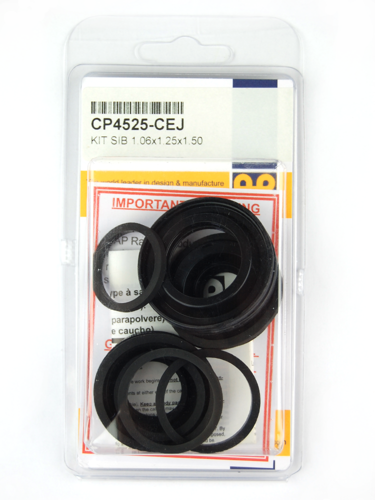 AP RACING CP4525-CC Caliper Repair Kit Photo-0