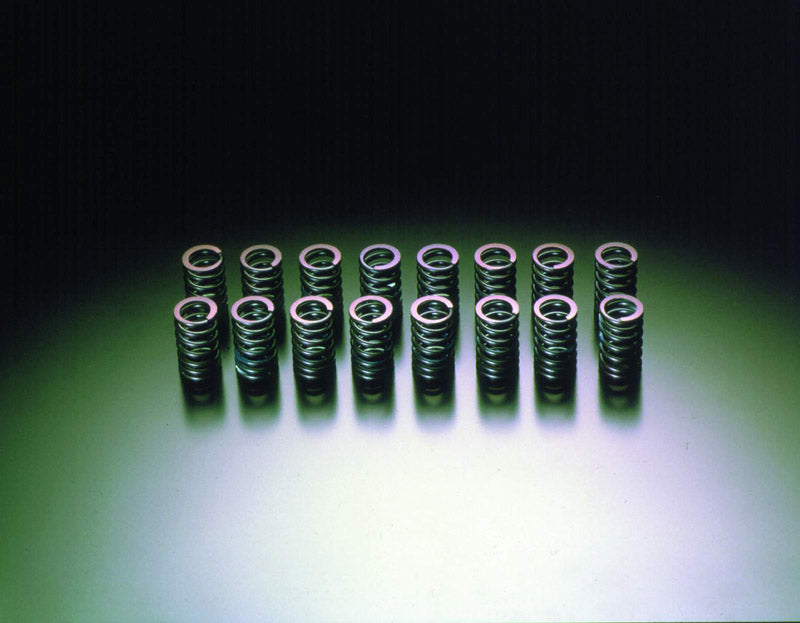 HKS 22001-AN002 Valve Spring kit SR20 DE(T) Step 2 (Not RNN14!) Photo-0