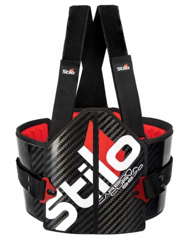 STILO AS0002L+ Carbon Curva Rib Protector FIA 8870, size L+ Photo-1