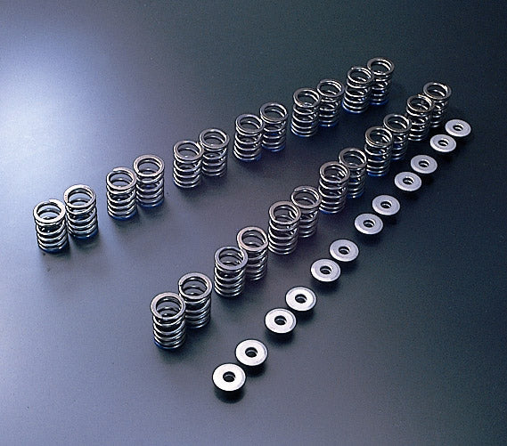 TOMEI TA304A-NS06A VALVE SPRING R33 RB25DE(T) B-TYPE (Old part 163022) Photo-0