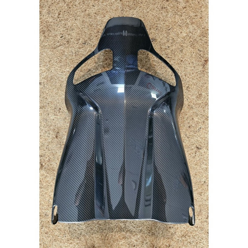 ARD DB001 Carbon Fibre Back 580x290x880 mm for Seat RECARO SPORTSTER CS (Acrylic Box not included) Photo-1
