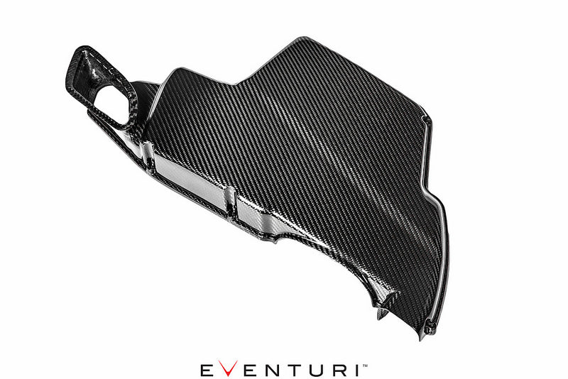 EVENTURI EVE-E9X-CF-ARB Airbox lid BMW E9X M3 (carbon fiber) Photo-0