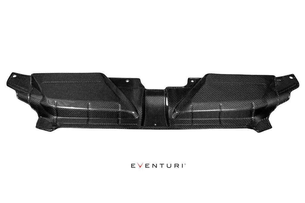 EVENTURI EVE-RS5-CF-SLM Slam panel cover AUDI B8 RS5 (carbon fiber) Photo-3