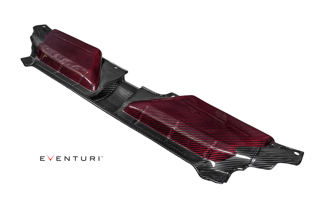 EVENTURI EVE-RS5-CF-SLM Slam panel cover AUDI B8 RS5 (carbon fiber) Photo-1