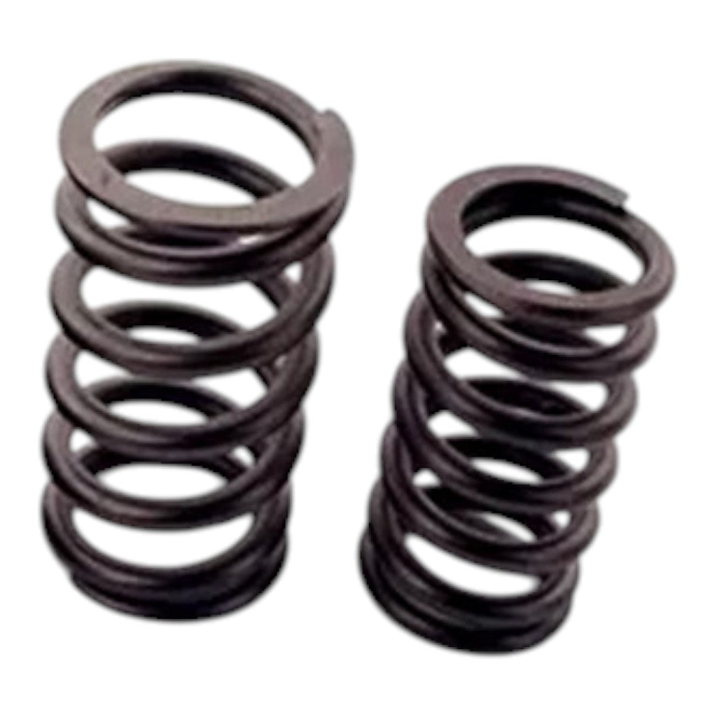 FERREA S10182 Valve Spring for HONDA Civic Si (FC1) Photo-0
