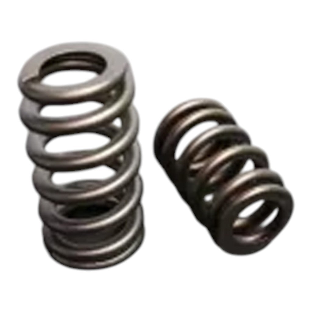 FERREA S2029 Valve Spring FO 3.5L Eco Beehive 100/250 Photo-0