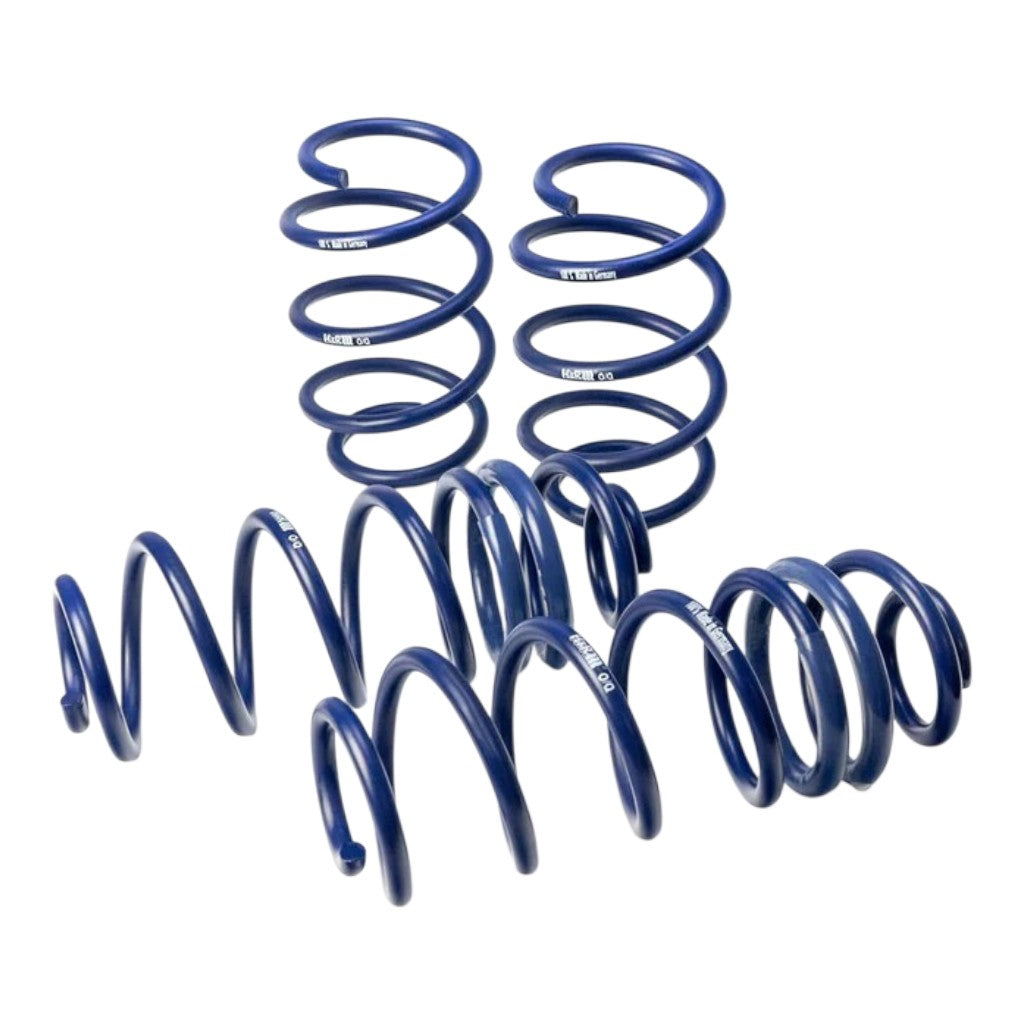 H&R 29013-1 Performance Lowering Springs Kit 30-35mm Lower Photo-0