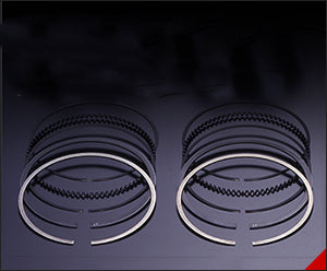 HKS 21005-AN016 Piston Ring Set N16 for NISSAN Skyline GT-R (R32/R33/R34) Photo-0