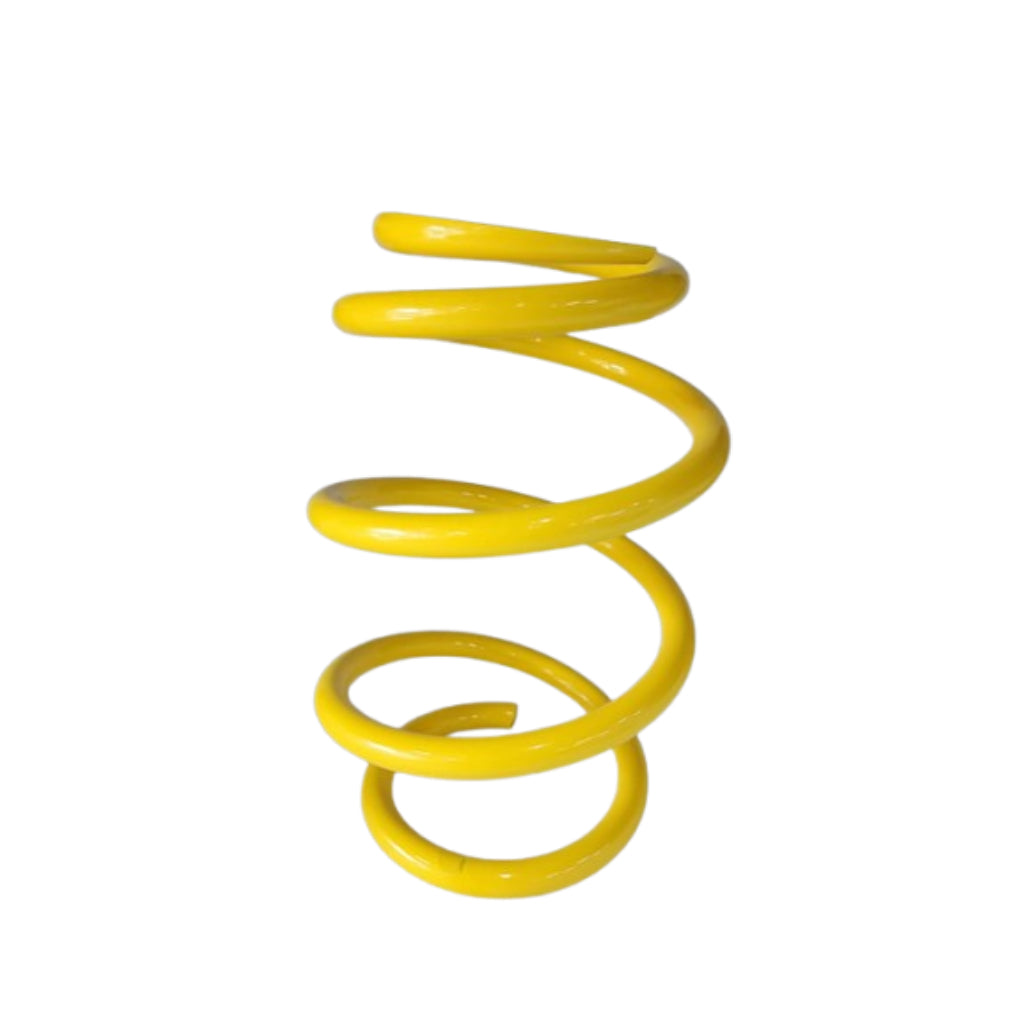 KW 60210294 Front Suspension Spring for MERCEDES-BENZ E63 AMG Photo-0