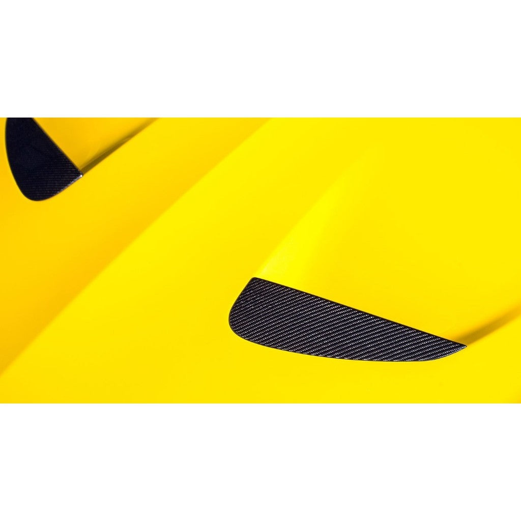 NOVITEC F6 888 72 Inset for Engine Bonnet, Visible Carbon for FERRARI California 2008-2017 Photo-1