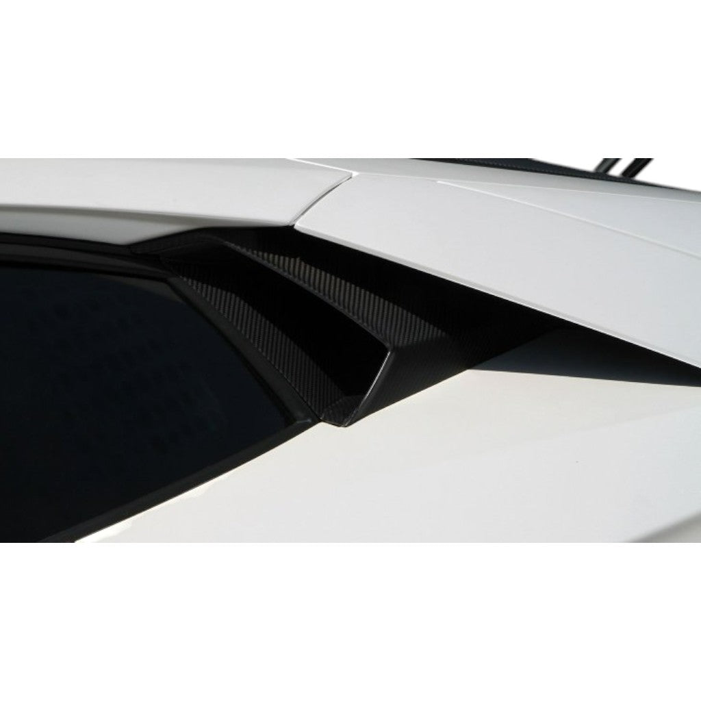 NOVITEC L6 111 25 Air-Intake Side Windows, Visible Carbon for LAMBORGHINI Aventador Coupe / Roadster 2011-2021 Photo-1