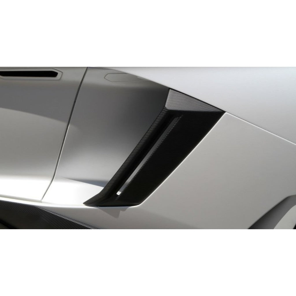 NOVITEC L6 111 33 Side-Air-Intake, Visible Carbon for LAMBORGHINI Aventador Coupe / Roadster 2011-2021 Photo-1