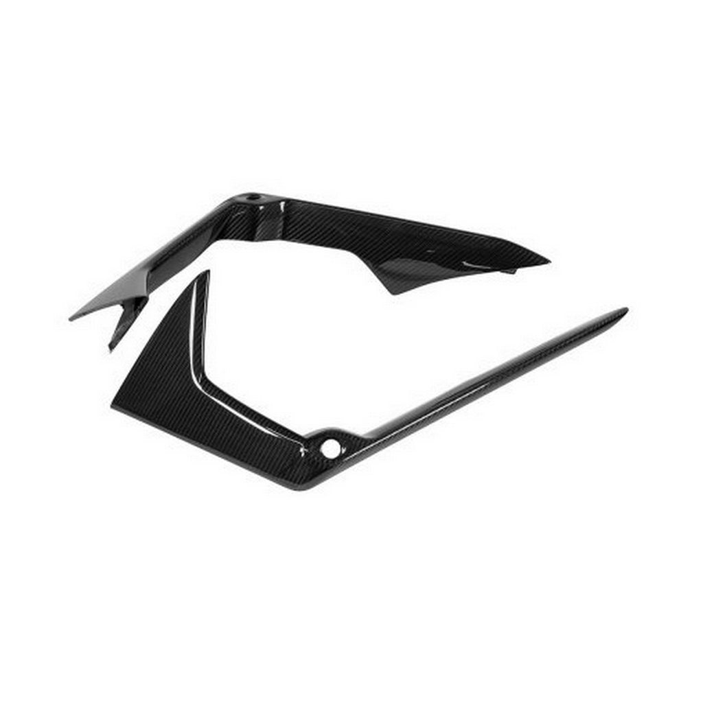NOVITEC L6 444 12 Front Cover, Visible Carbon for LAMBORGHINI Revuelto 2023- Photo-0