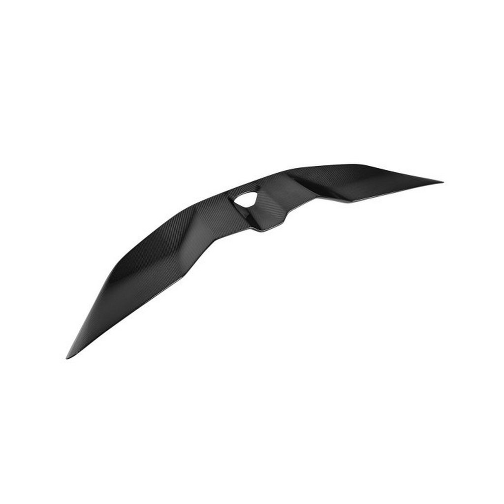 NOVITEC L6 444 23 Rear Spoiler, Visible Carbon for LAMBORGHINI Revuelto 2023- Photo-0