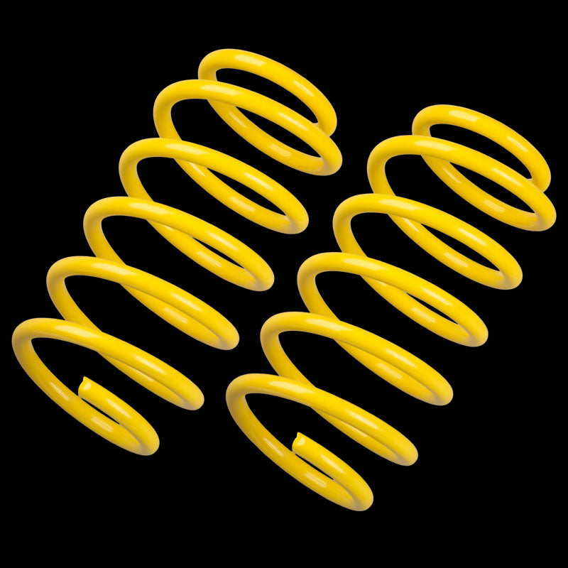 ST 28280001 springs 40/40 VW Derby/Polo 86/86C, 8/76-8/86 0.9-1.3 Photo-0