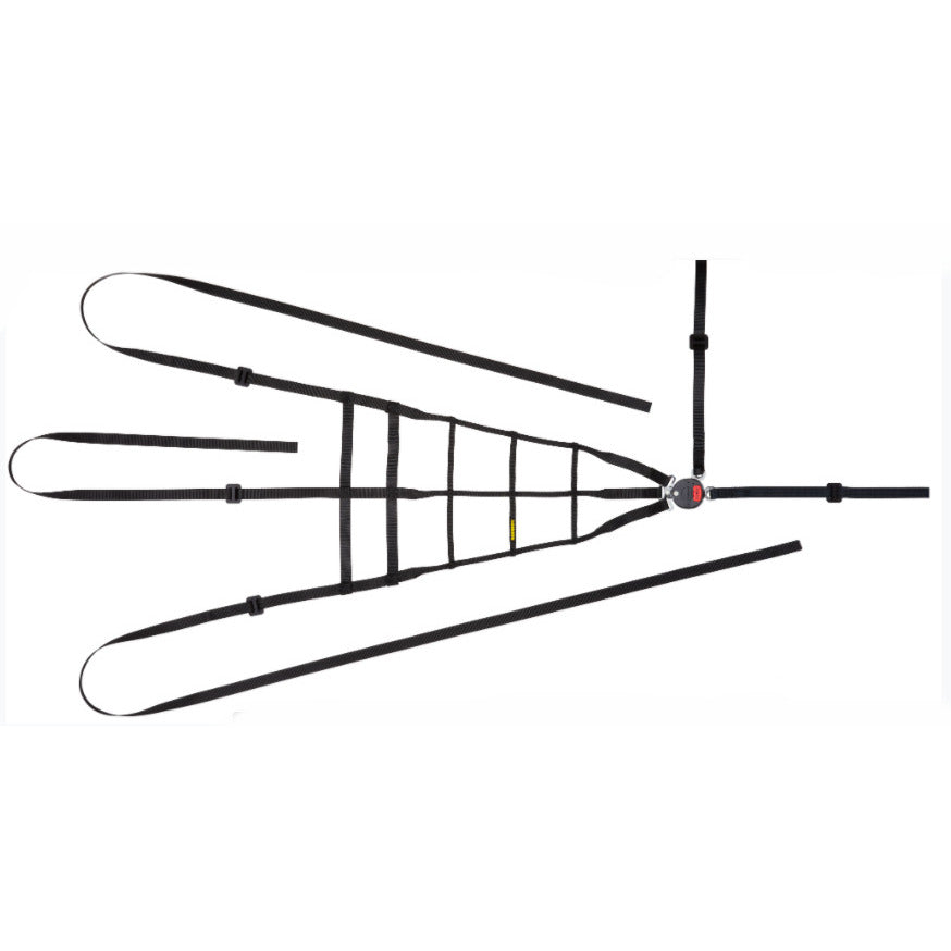 SCHROTH 09077 Driver/Interior Racing Net 5point FIA 8863-2013 black Photo-0