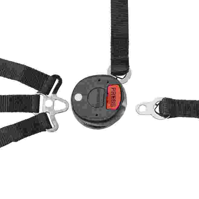 SCHROTH 09577 Interior Racing Net 5point (Right side) FIA 8863-2013 Photo-1