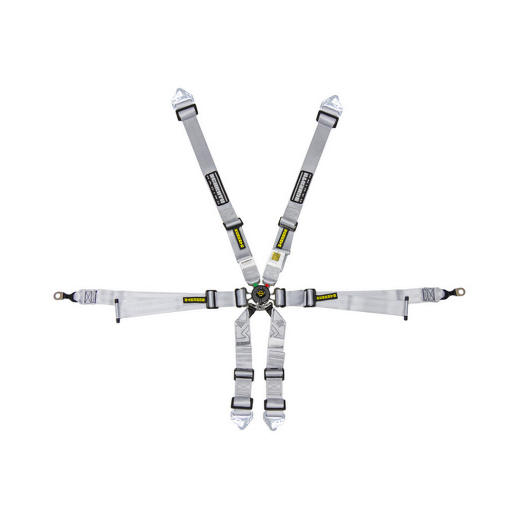 SCHROTH 94700-9 Racing Harness Profi 2x2 6-Point, Silver for PORSCHE 911 (996 / 997) Photo-0