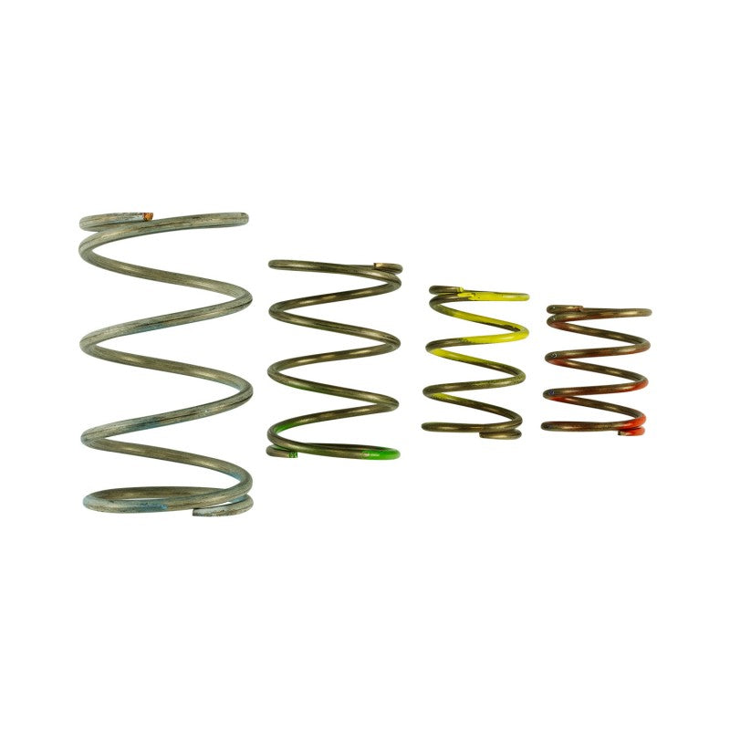 TURBOSMART TS-0550-3151 Spring Replacement Kit GenV WG45/50 Photo-0