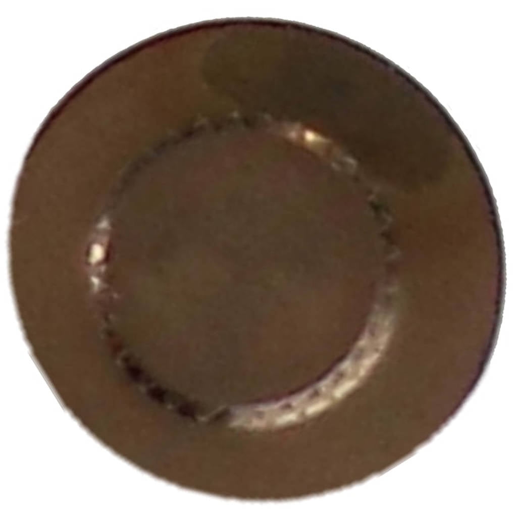 MANLEY 42105-1 Inserted Valve Tip (Fits 11/32 Valve Stem, Qty: 1") Photo-5 