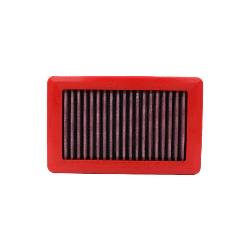 BMC FB879/01 Panel Air Filter 135x214 mm Photo-2 