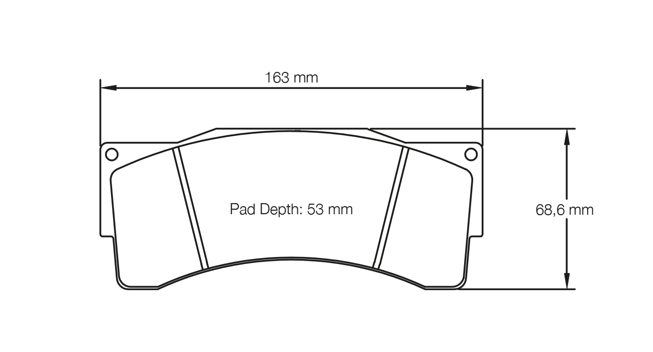 PAGID 2557-RSL29 Front brake pads RSL29 BMW Z4 GT3 [race car] / AP Racing CP6080 D54/CP6210 D54/CP6269 Photo-0 