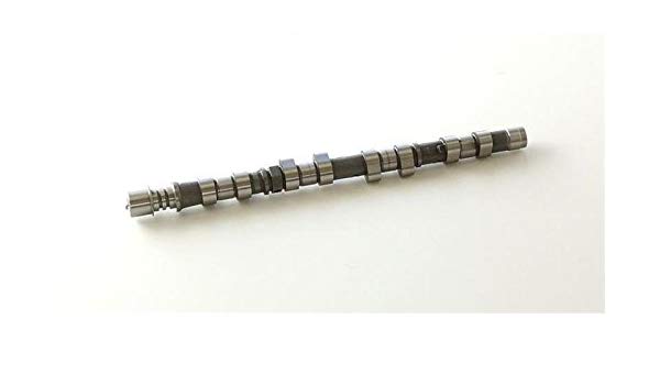 HKS 2202-RN172 Camshaft IN 256 RB25DET w/NVCS Photo-0 