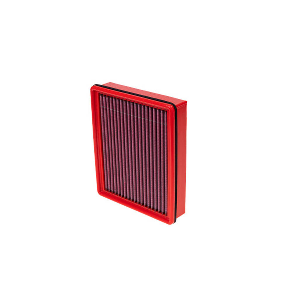 BMC FB219/01-D AIR FILTER 242X205 Photo-2 