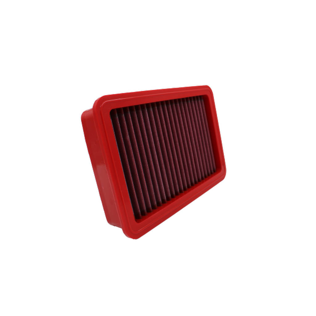 BMC FB539/20 AIR FILTER 185X273 Photo-1 