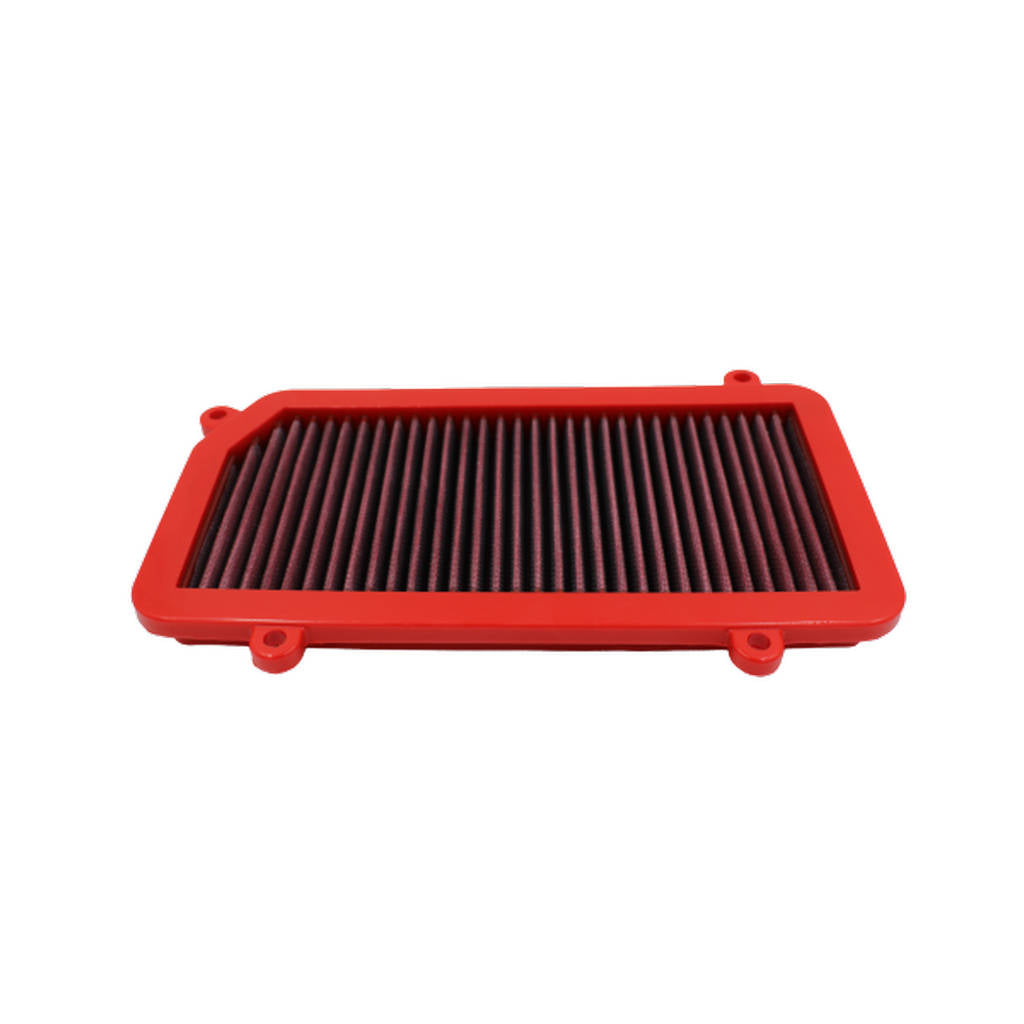 BMC FB655/01 176X327 AIR FILTER PANEL Photo-0 