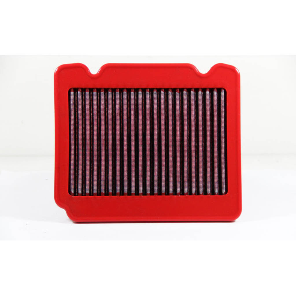 BMC FB666/01 222x189 AIR FILTER PANEL Photo-0 