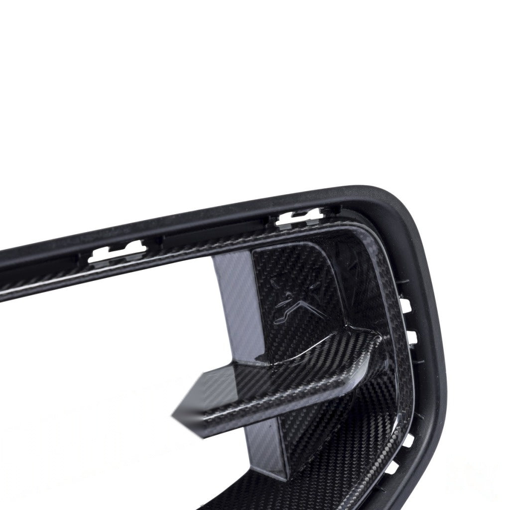 ALPHA-N AN-0529 Carbon Kidney Grille for BMW M2 (G87) Photo-14 