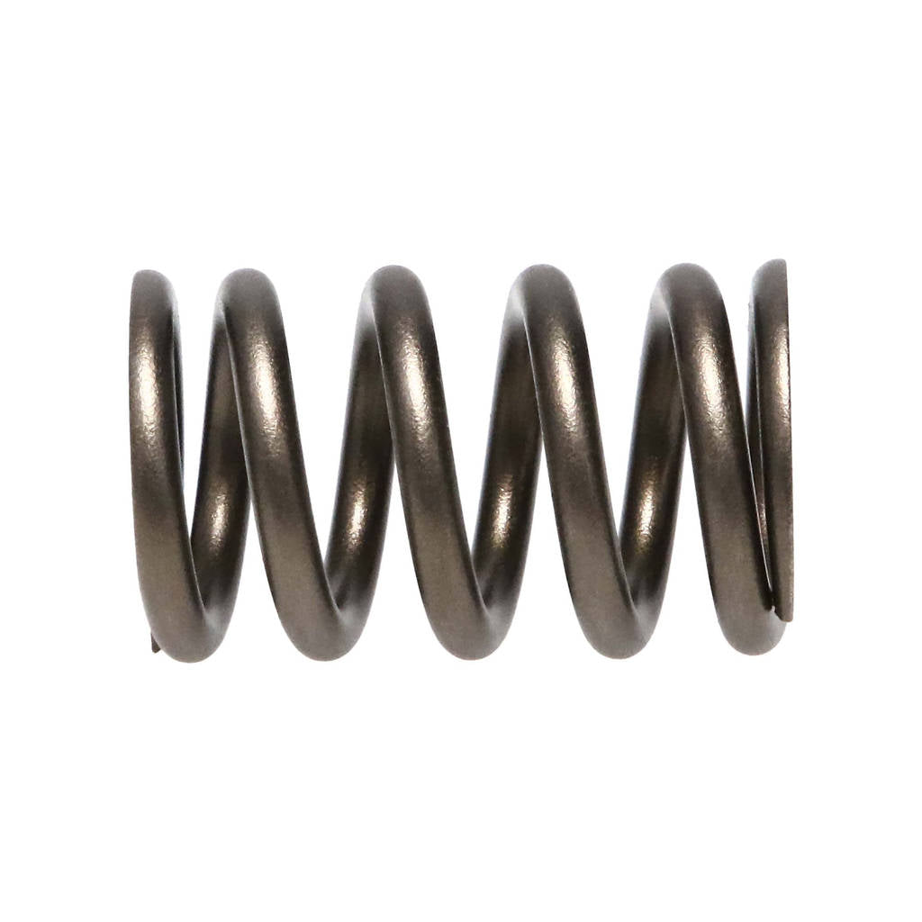MANLEY 22155-24 Valve Spring for NISSAN Patrol TB48 Photo-3 
