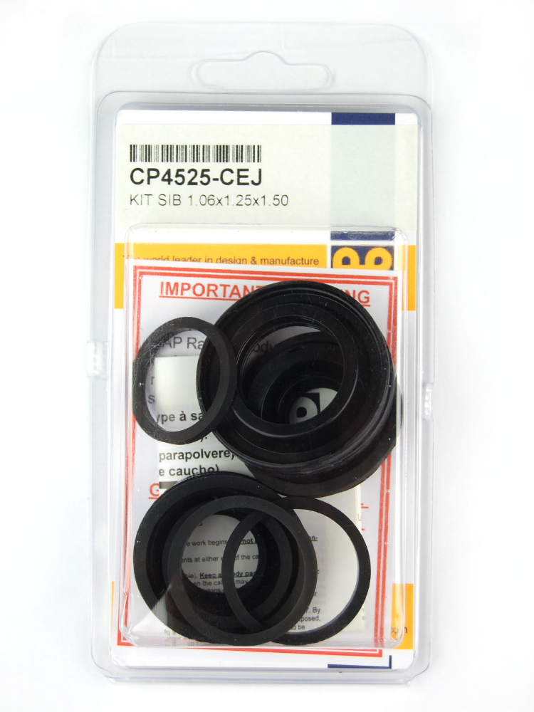 AP RACING CP4525-CC Caliper Repair Kit Photo-0 
