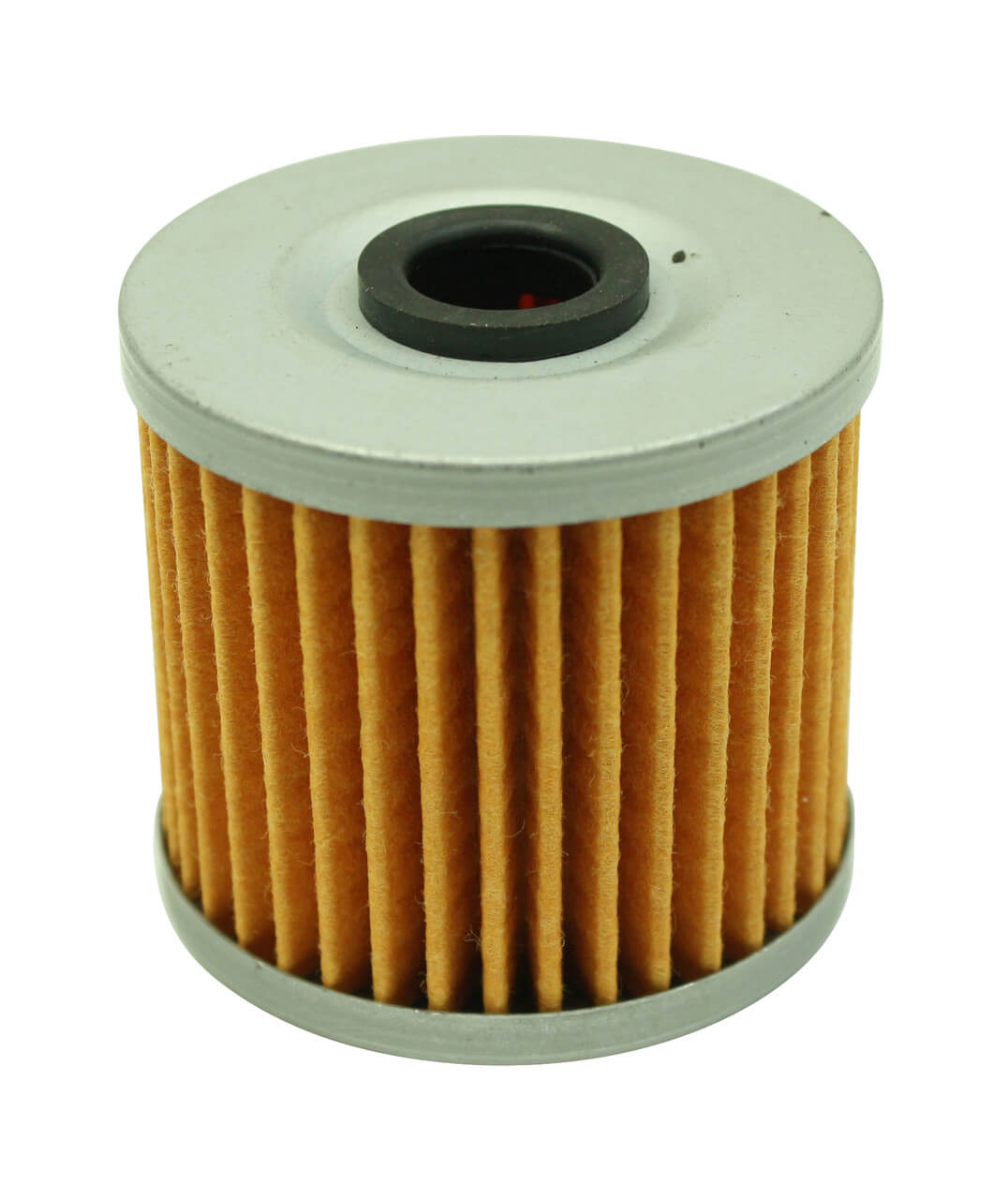 AEM 25-203 High volume fuel filter element Photo-0 