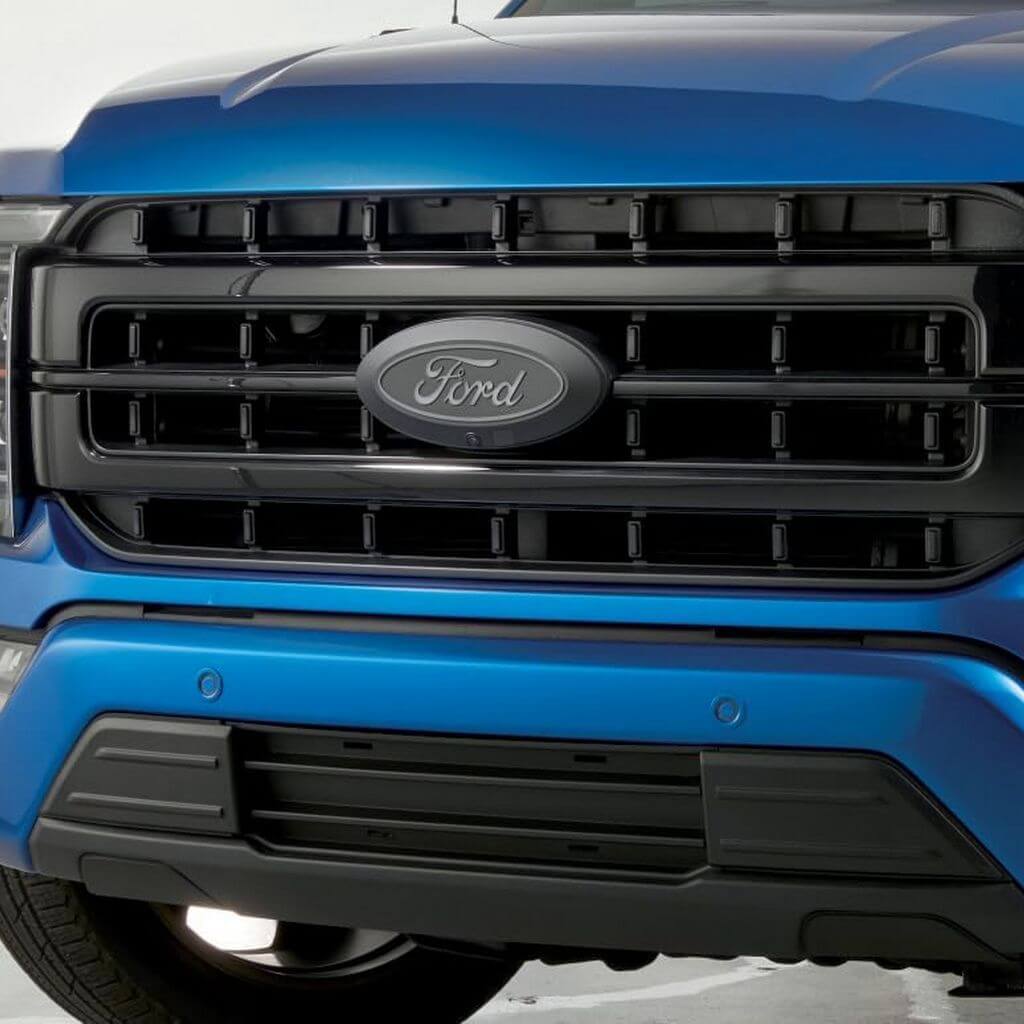 FORD RACING M-8200-F15A Grille, Black for FORD F-150 Raptor 2021- Photo-2 