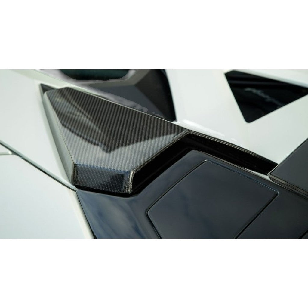 NOVITEC L6 111 78 Roof-Air-Guide, Visible Carbon Matte for LAMBORGHINI Aventador SV Roadster 2015-2017 Photo-1 