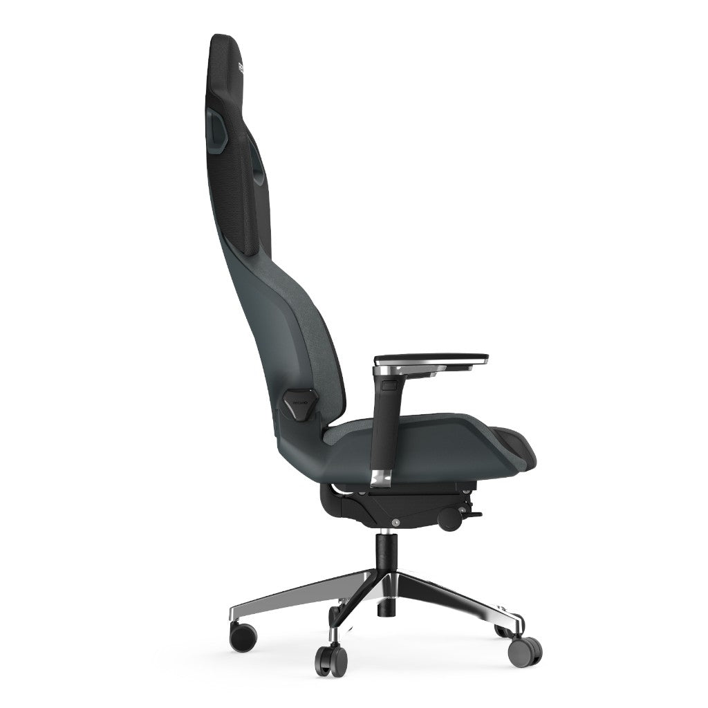 RECARO R111.010.0005.10.2 Gaming Chair Exo FX Iron Grey Photo-3 