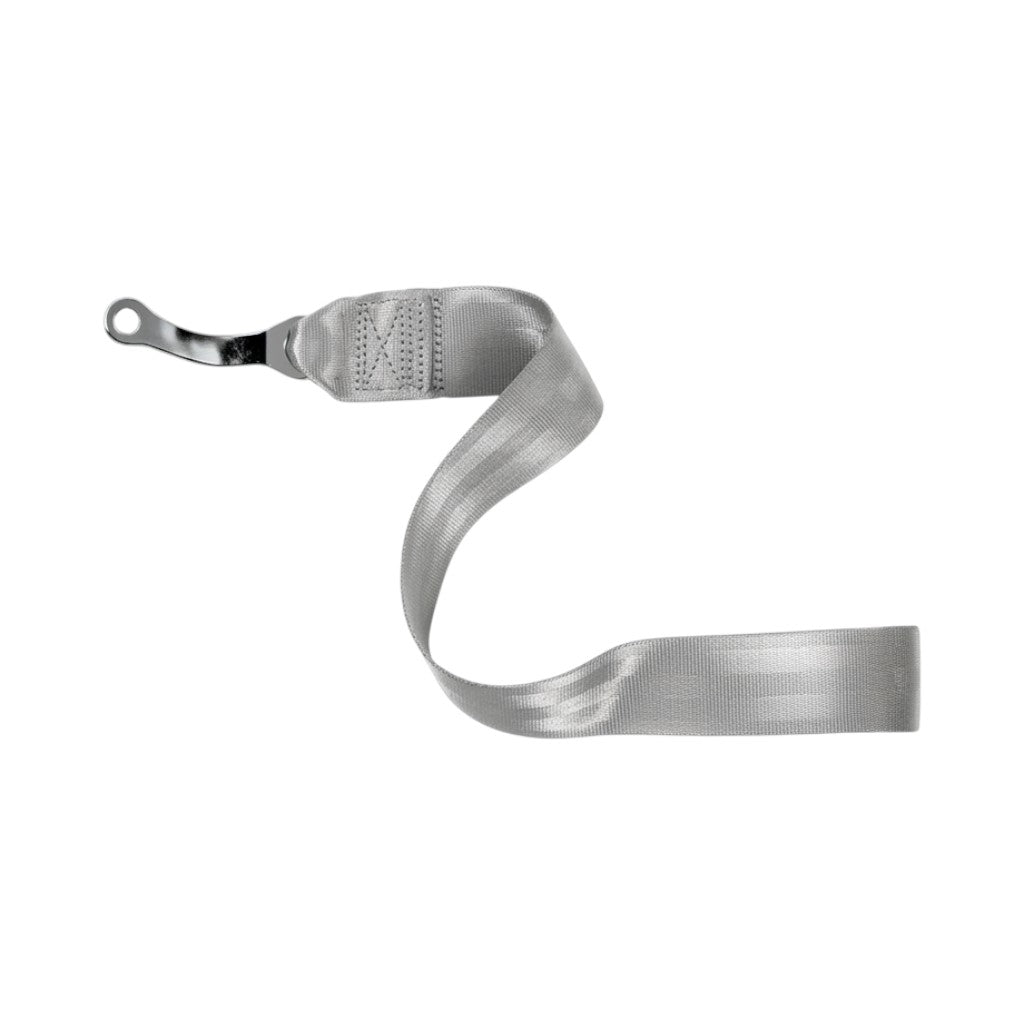 SCHROTH 00199 Replacement Side Belt, Silver for VW Golf (Mk4) Photo-0 