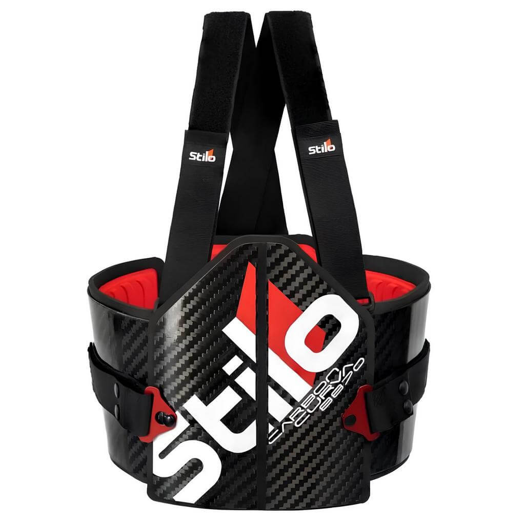STILO AS0002L Rib Protector Carbon Curva FIA 8870, Size L Photo-0 