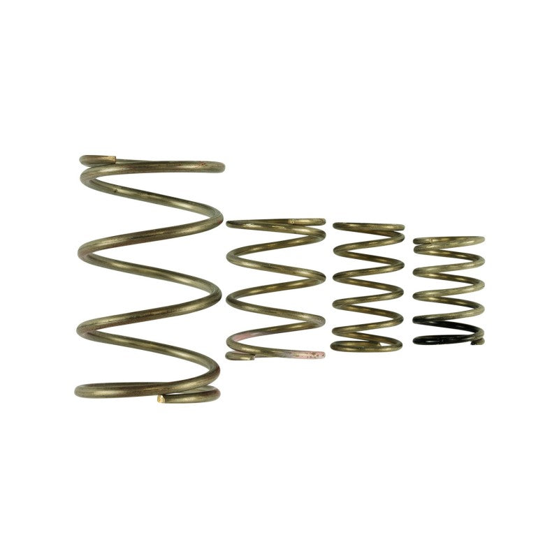 TURBOSMART TS-0550-3150 Spring Replacement Kit GenV WG38/40 Photo-0 